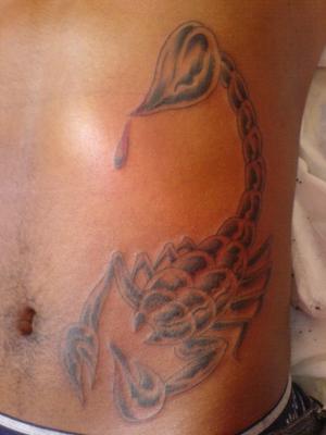 scorpion